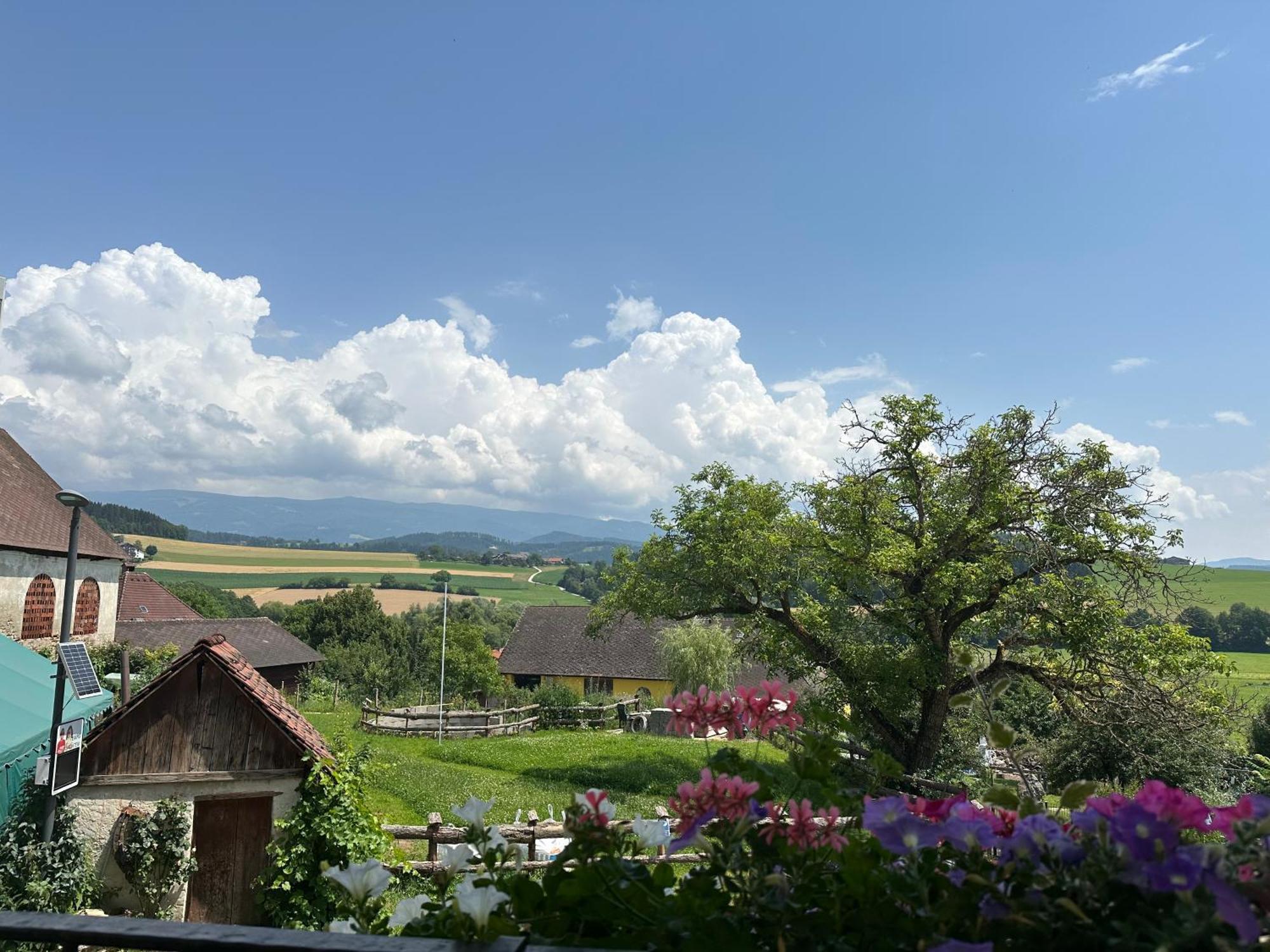 Gasthof Winkelwirt Althofen  Екстериор снимка